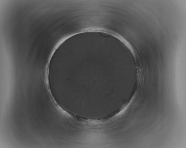 X0000111521102200907211219