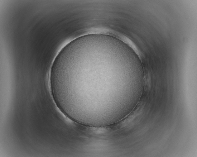 X0000111521103200907211219