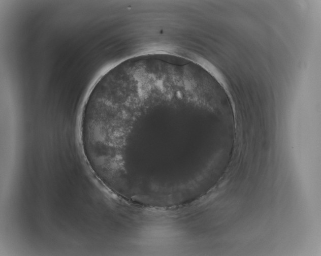 X0000111521104200907211219