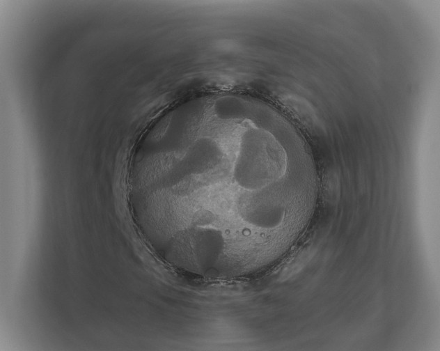 X0000111521105200907211218