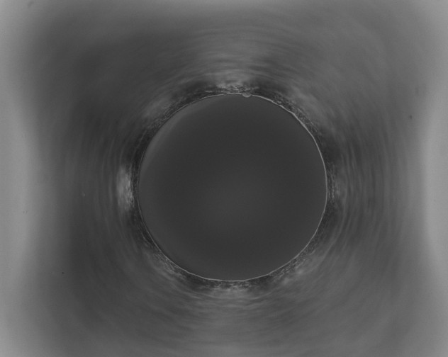 X0000111521106200907211218