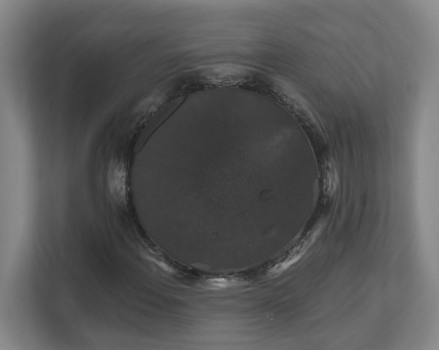 X0000111521108200907211218