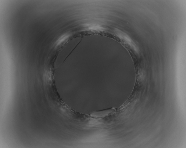 X0000111521110200907211218