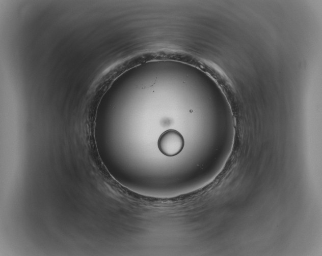X0000111521112200907211218