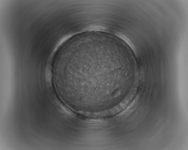 X0000111521115200907211218