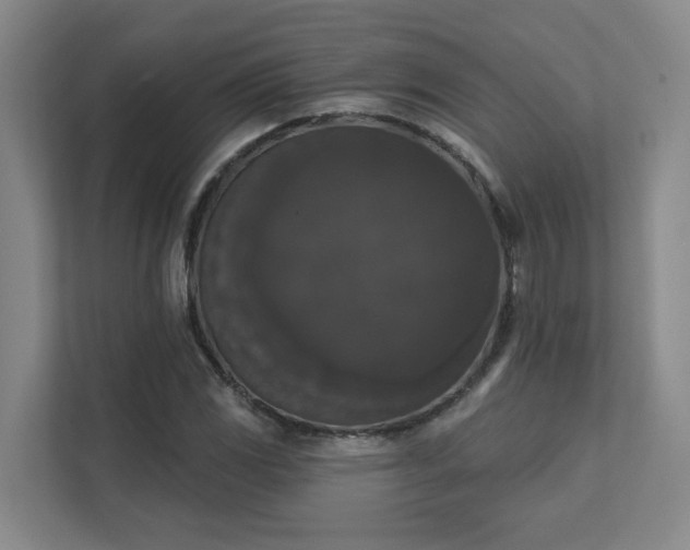 X0000111521117200907211218