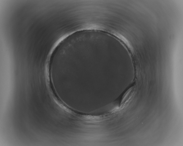 X0000111521120200907211218
