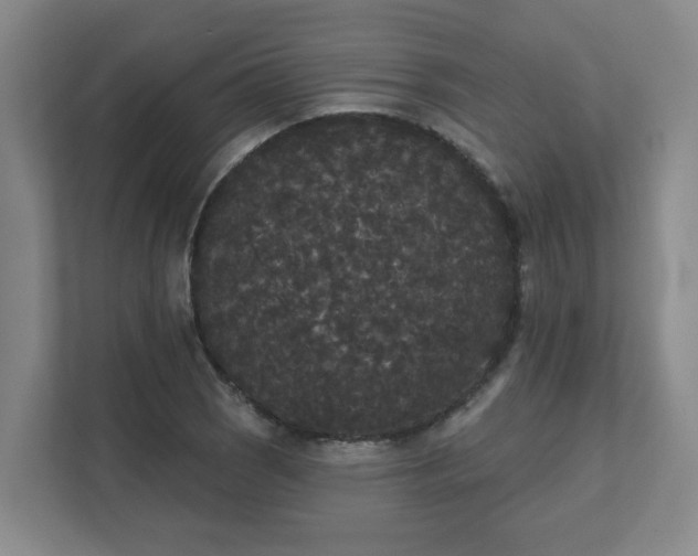 X0000111521121200907211218