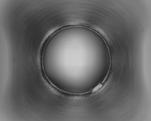 X0000111521122200907211218