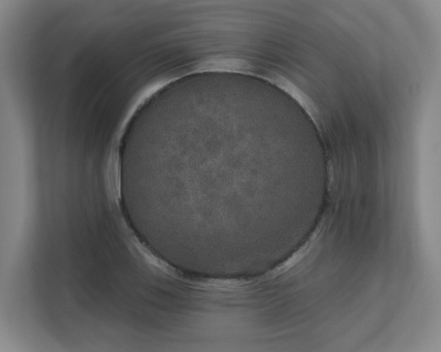 X0000111521123200907211218