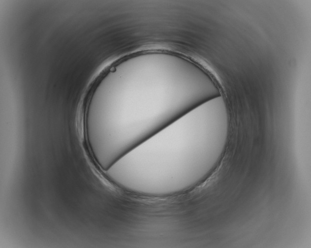 X0000111521127200907211218