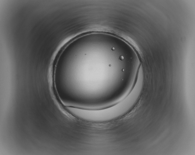 X0000111521128200907211218