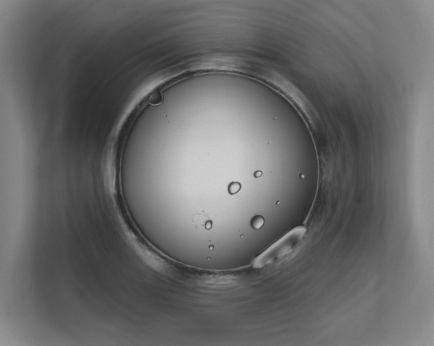 X0000111521131200907211218