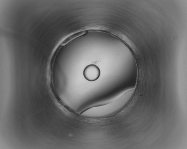 X0000111521132200907211218