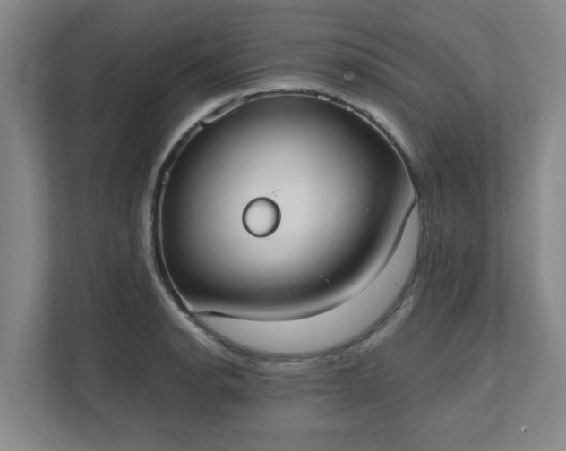 X0000111521134200907211219