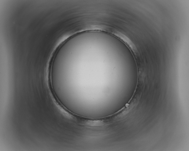 X0000111521135200907211219