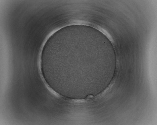 X0000111521136200907211219