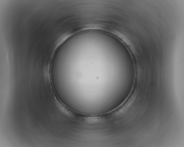 X0000111521137200907211219