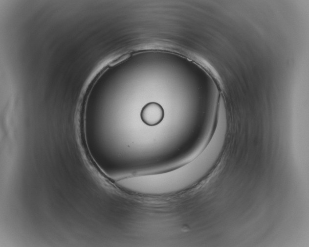 X0000111521138200907211219