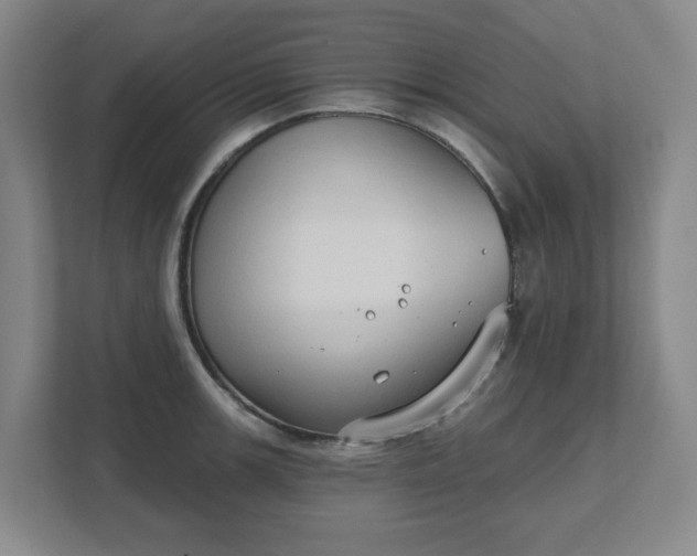 X0000111521139200907211219