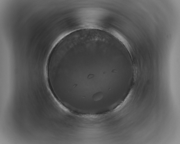 X0000111521141200907211219