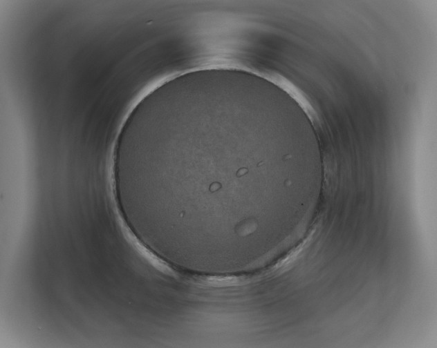X0000111521142200907211219