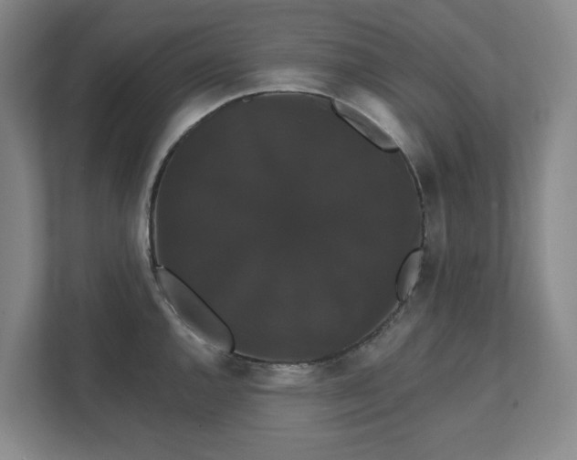 X0000111521144200907211219