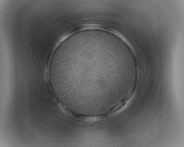X0000111521145200907211219