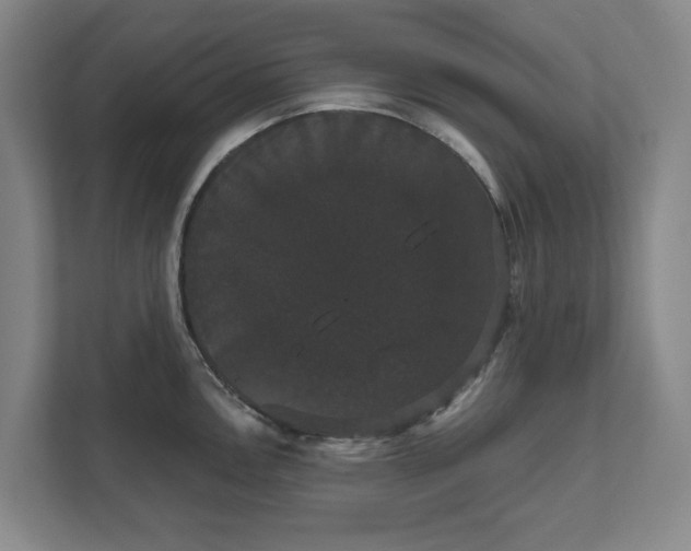 X0000111521146200907211219