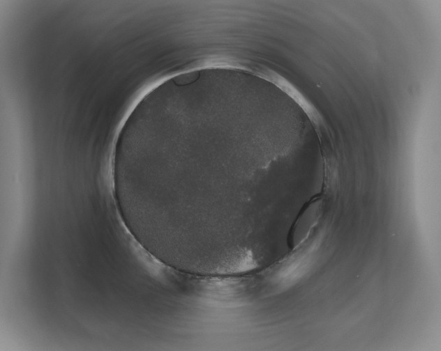 X0000111521148200907211219