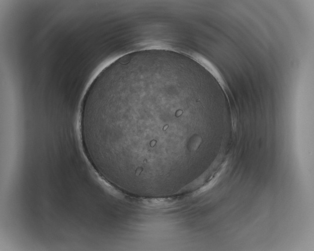 X0000111521149200907211219