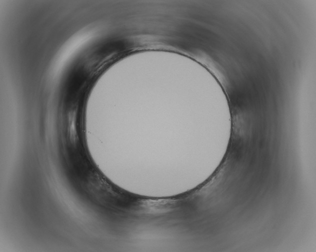 X0000111521150200907211219