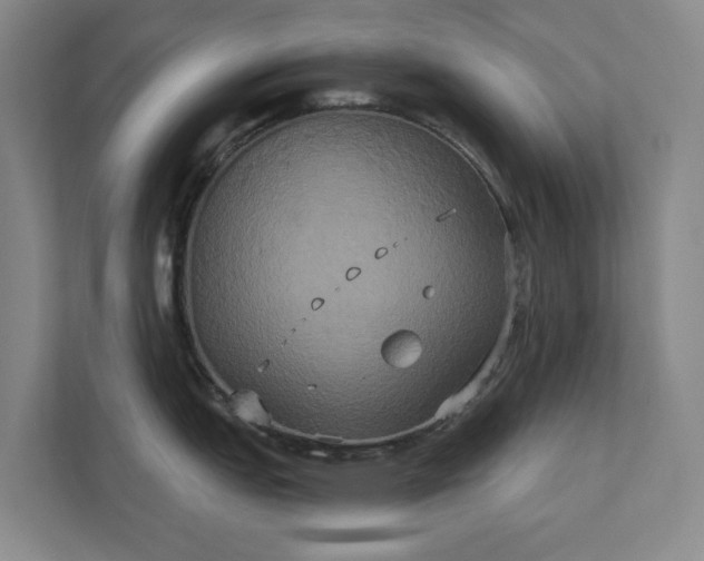 X0000111521151200907211219