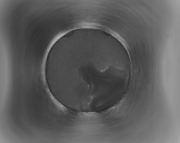 X0000111521152200907211219