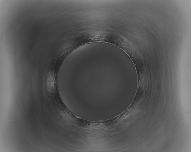 X0000111521154200907211218