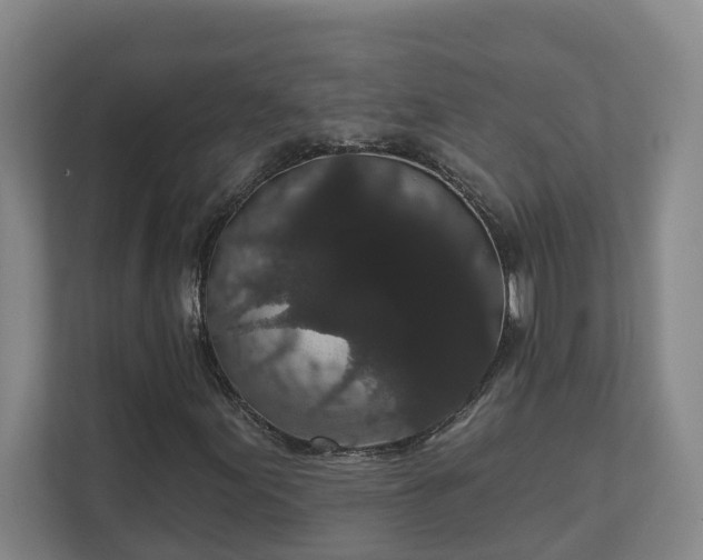 X0000111521155200907211218