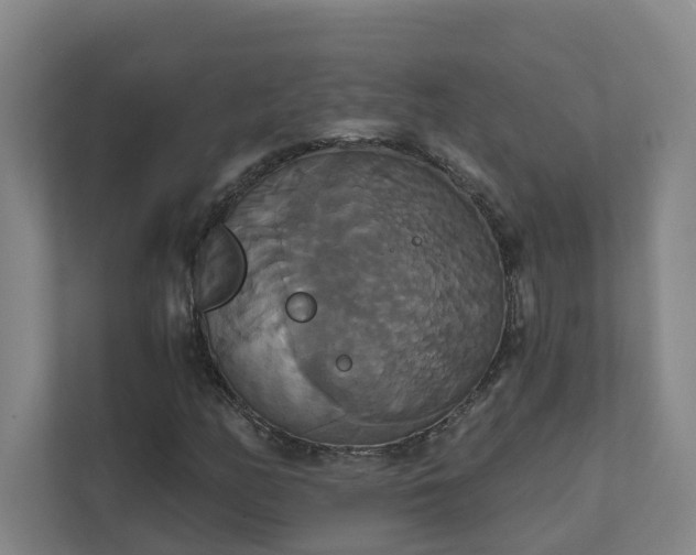 X0000111521158200907211218