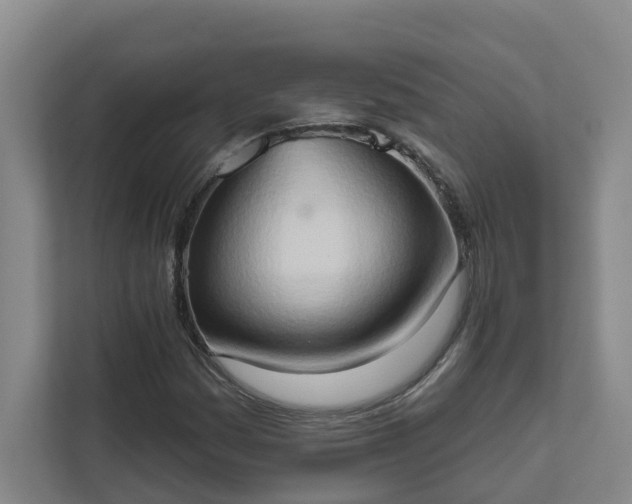 X0000111521161200907211218