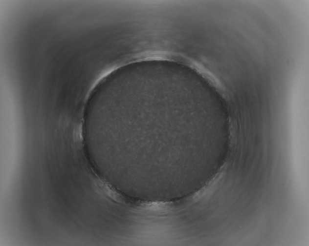 X0000111521166200907211218