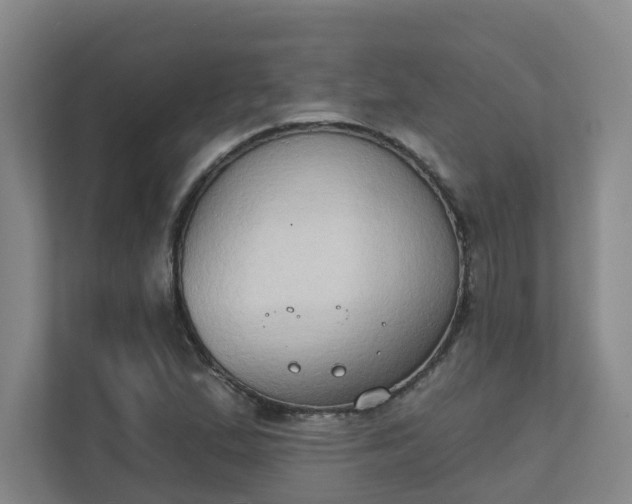 X0000111521167200907211218