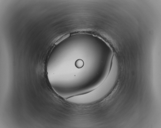 X0000111521169200907211218