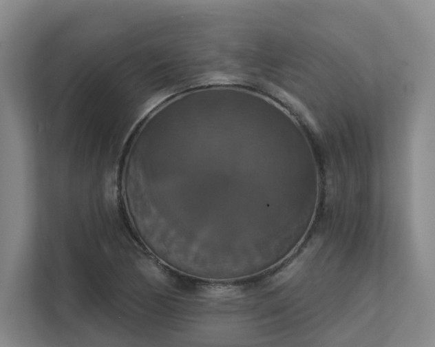 X0000111521170200907211218