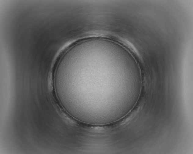 X0000111521172200907211218