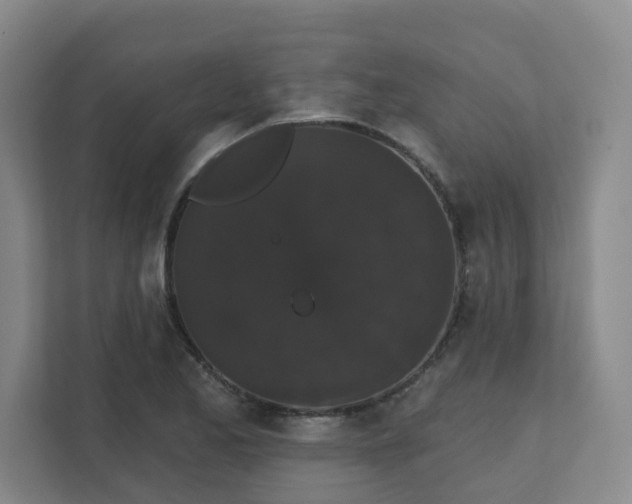 X0000111521173200907211218
