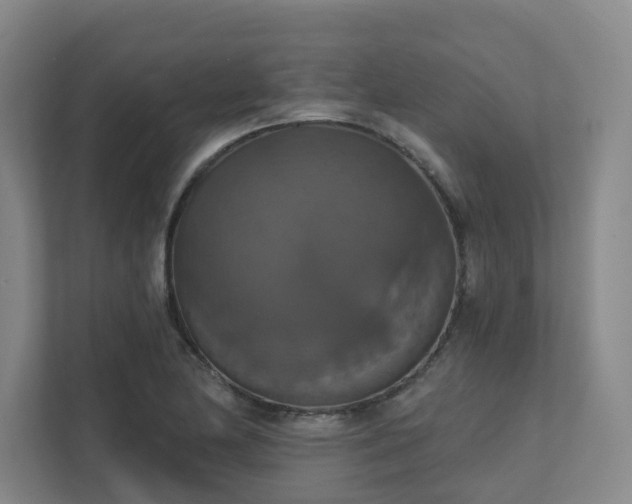 X0000111521174200907211218