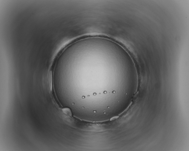 X0000111521175200907211218