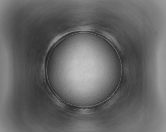 X0000111521176200907211218
