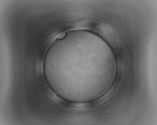 X0000111521177200907211218