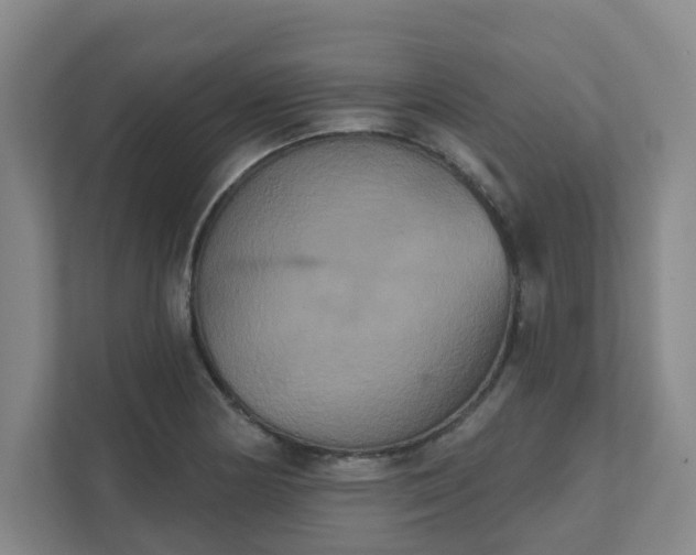 X0000111521178200907211218