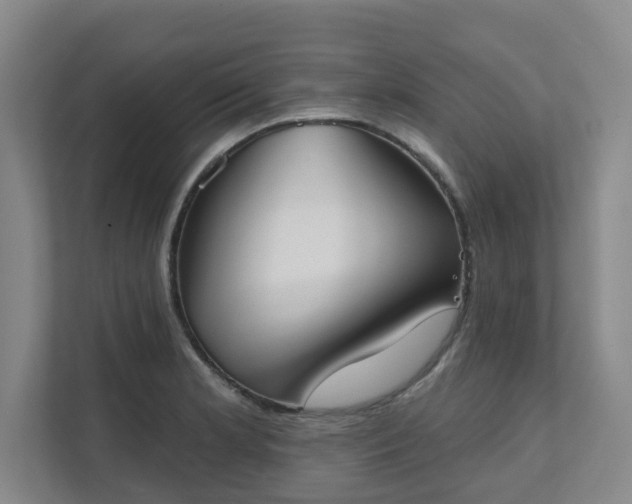 X0000111521181200907211218